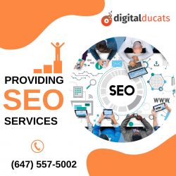 SEO Agency Solutions to Help your Company Grow