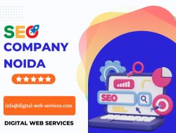 Best SEO Company In Noida – Digital Web Services