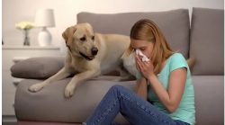 Sinusitis infection causes