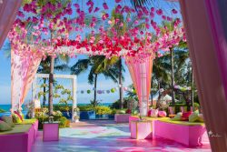 Hire The Top-Rated Videographer For Destination Wedding Videos
