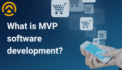 Grow Your Business Faster With MVP Development Services By Amplework