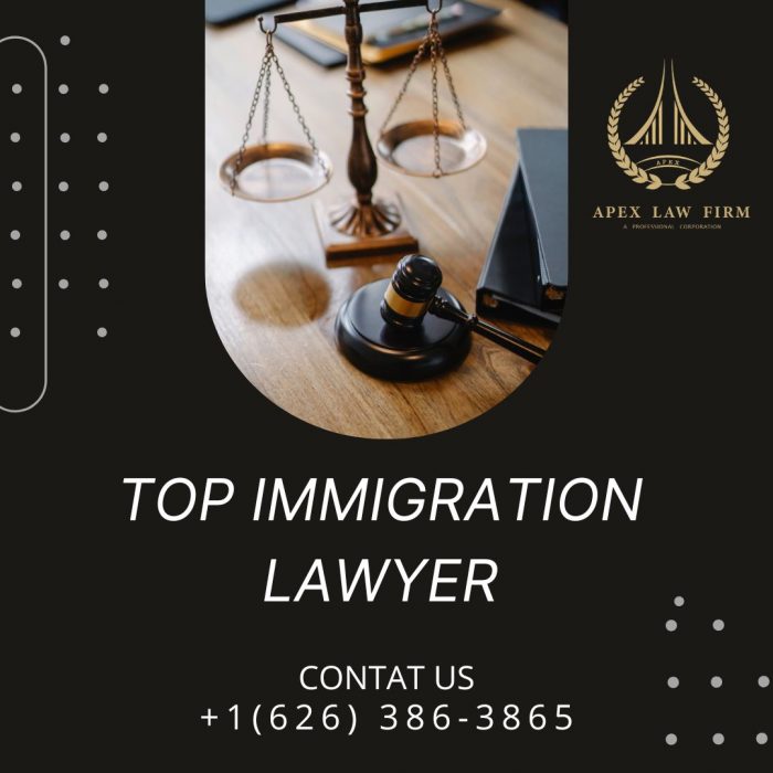 Top Immigration Lawyer