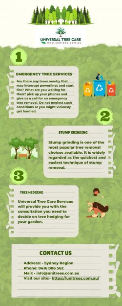 Get the best Tree Pruning services in Lane Cove