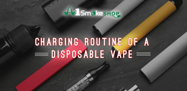 Charging Routine of a Disposable Vape – Smoke Shop Fontana