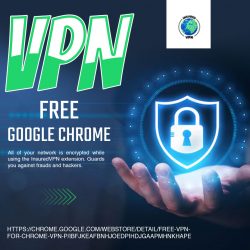 Here you will get the VPN free for Chrome Extension within your budget!