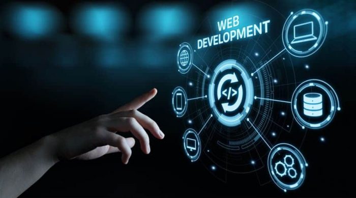 Web Development Company In India
