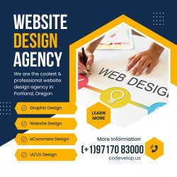Website Design agency