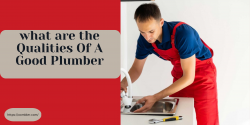 What are the skills and qualities of a plumber?
