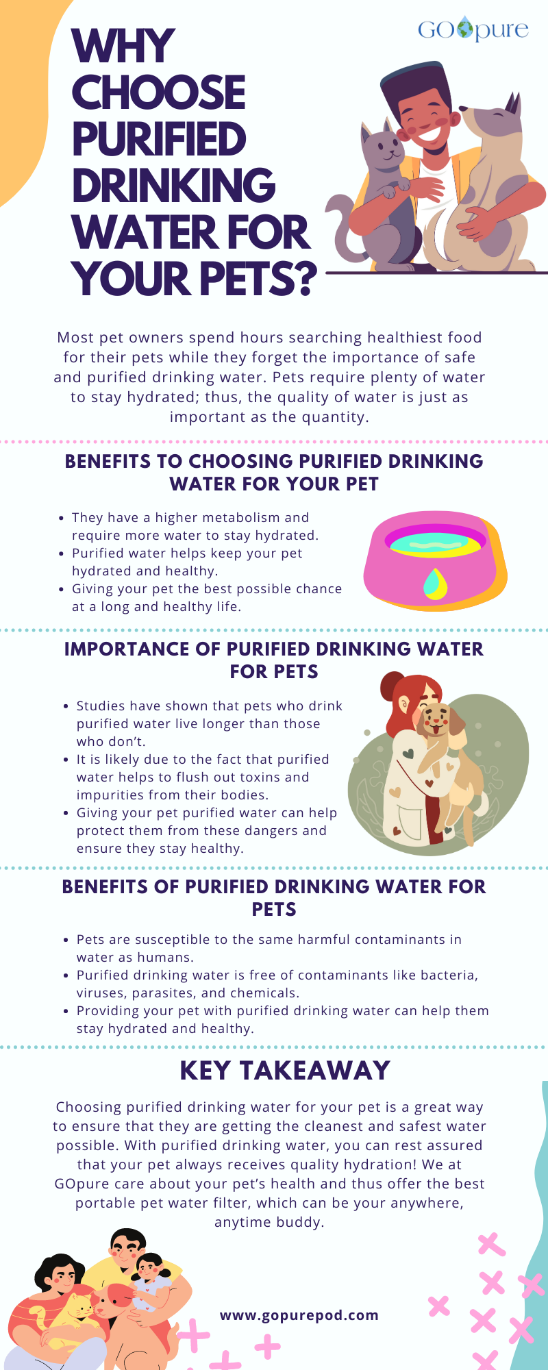 Why Choose Purified Drinking Water for Your Pets?