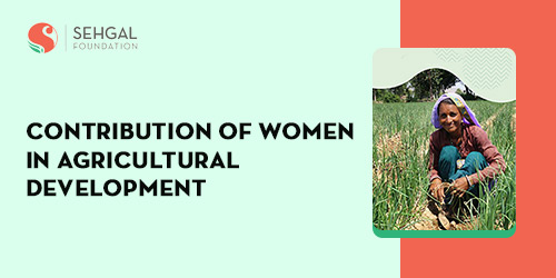 Contribution Of Women In Agricultural Development