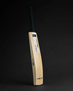 Top Cricket Bat Manufacturers In India