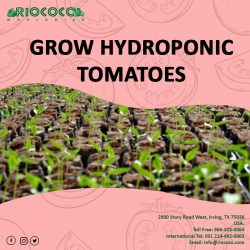 coco coir for hydroponics