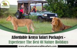 Affordable Kenya Safari Packages – Experience The Best Of Nature Holidays