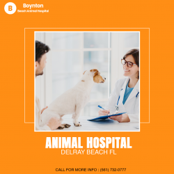 Animal Hospital in Delray Beach FL