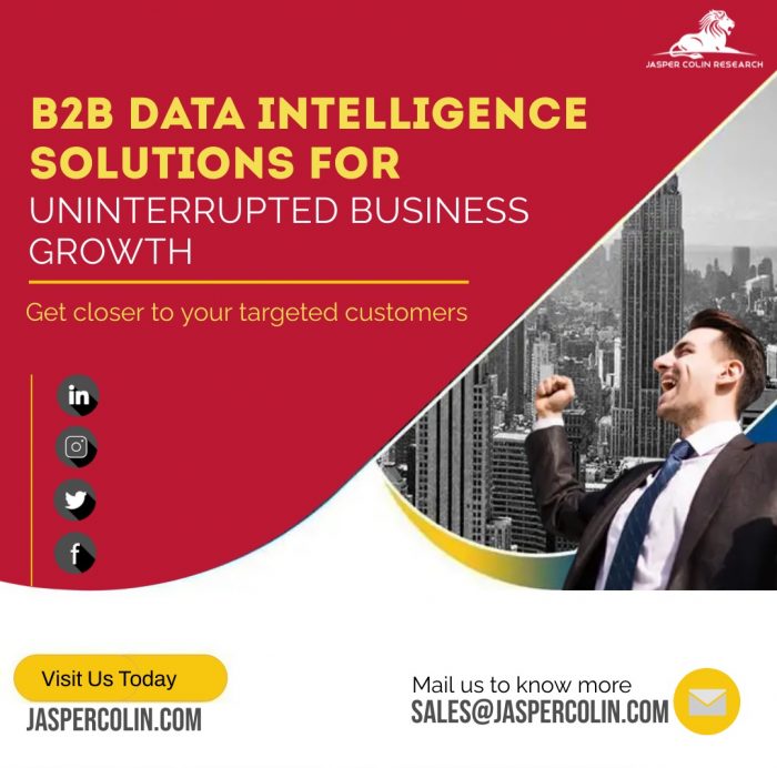 B2B Data Intelligence Solutions