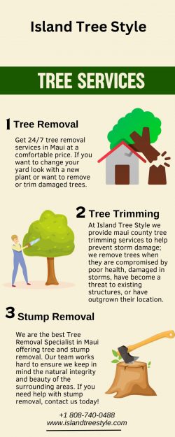 Best Ever Tree Services by Island Tree Style