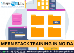Best MERN Stack Training in Noida