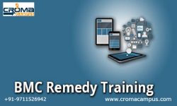 BMC Remedy Training Institute in Delhi
