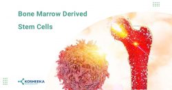 Bone marrow derived stem cells