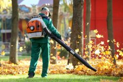 Top Reasons for Winter Tree Removal in New Jersey