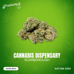 Cannabis Dispensary Scarborough