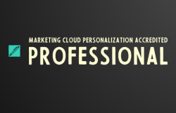 Marketing Cloud Personalization Accredited Professional practice exam