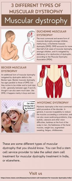 3 Different Types of Muscular Dystrophy