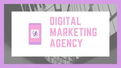 An Affordable Digital Marketing Agency In Delhi: Get Your Message Seen By Millions!