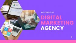 Best Affordable Digital Marketing Agency in Delhi