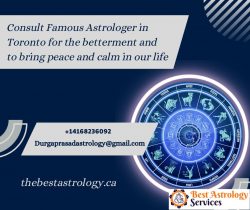 Consult Famous Astrologer in Toronto for the betterment and to bring peace and calm in our life