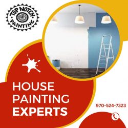 Get Durable Interior Painting Results