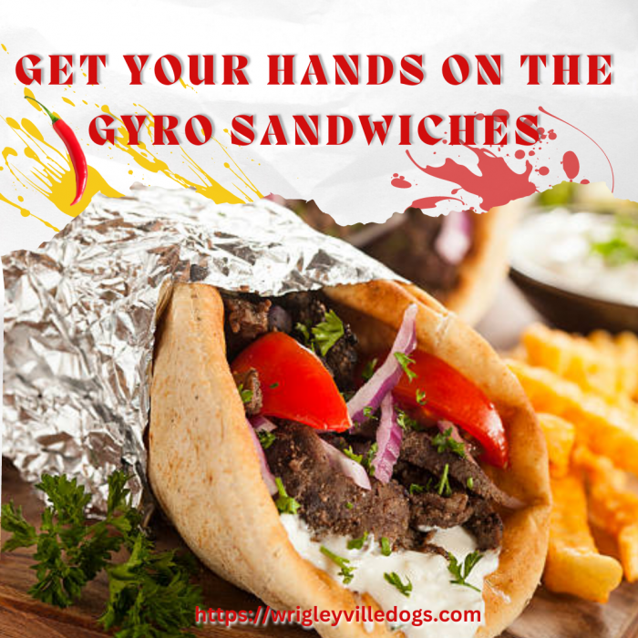 Get Your Hands On The Gyro Sandwiches