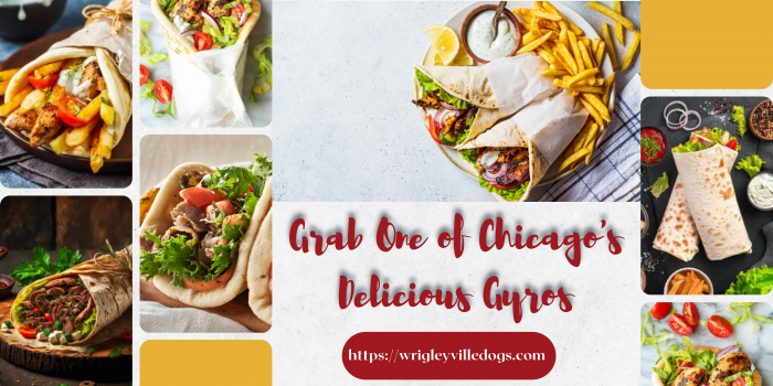Grab One of Chicago’s Delicious Gyros