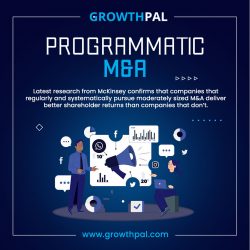 Growthpal – Your Trusted Partner for Programmatic M&A Success