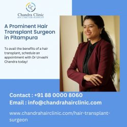 A Prominent Hair Transplant Surgeon in Pitampura, Delhi – Chandra Clinic