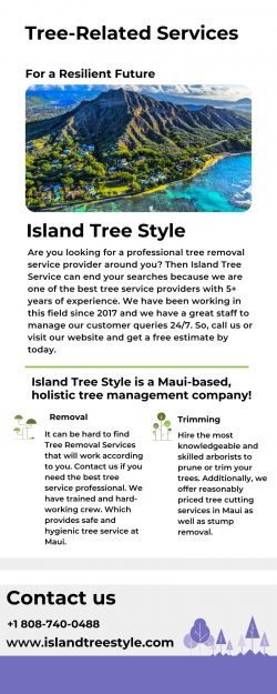 Hiring a Professional Tree Removal – Island Tree Style