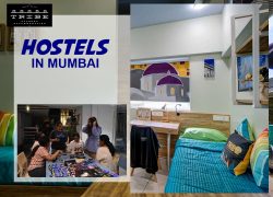 Best Hostels In Mumbai For Students