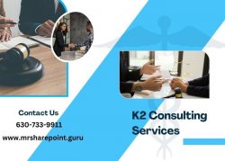 K2 Consulting Services