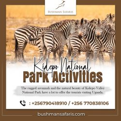 Need To Do Kidepo national park activities? Contact consultant Bushman Safaris