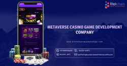 Top-Notch Metaverse Casino Gaming Clone Scripts