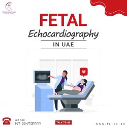 Fetal Echocardiography in UAE