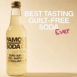 Best Low Sugar Lemonade Online | Famous Soda Co