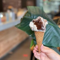 Best Ice Cream in Parramatta | CREMINO RIVARENO