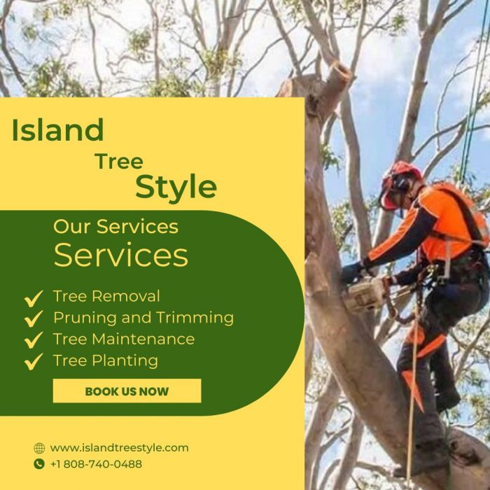 Tree Trimming and Removal by Certified Arborists