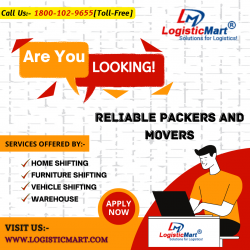 Who are some expert packers and movers in Mira Road Mumbai?