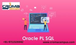 Oracle PL/SQL Online Course