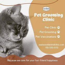 Pet Grooming Clinic in El Paso