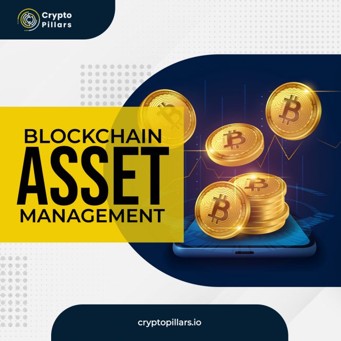Professional Blockchain Asset Management for Investors From Crypto Pillars!