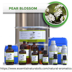 Buy Pure Natural Aromatic Oils | Organic Aromatic Oils