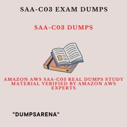Reasons Why You Are Still An Amateur At Amazon AWS SAA-C03 Exam Dumps